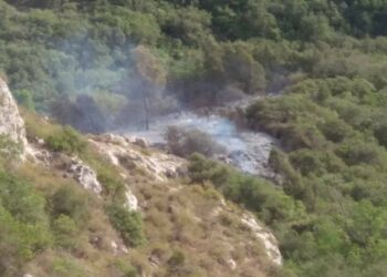 إطلاق حملة تحسيسية لحماية الثروة الغابية بقسنطينة