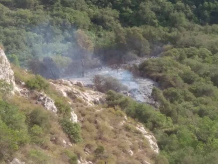 إطلاق حملة تحسيسية لحماية الثروة الغابية بقسنطينة