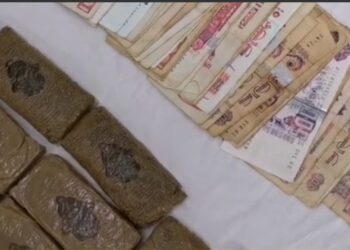 توقيف شخصين وحجز 650 غرام من الكيف المعالج بباتنة