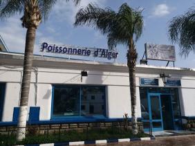 إعادة فتح مسمكة الجزائر هذا الأربعاء