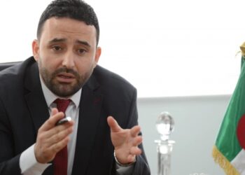 الوزير المنتدب نسيم ضيافات  /   إنشاء مناطق نشاطات مخصصة حصريا للمؤسسات المصغرة