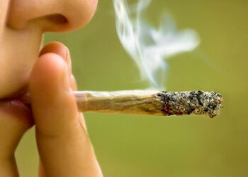 توقيف مروج مخدرات وحجز أزيد من 02 كيلوا من الكيف ببريكة بباتنة