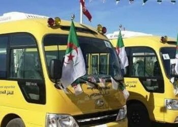 تيزي وزو / استلام  50 حافلة للنقل المدرسي