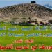 الكاف تحتفل باليوم العالمي للسياحة / تحت شعار : ” السياحة الريفية ودورها في تدعيم التنمية الجهوية المستدامة “