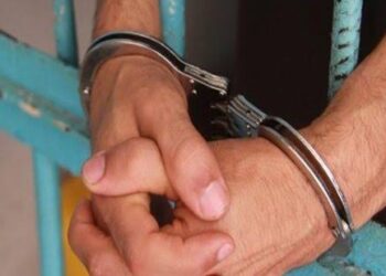 غليزان/حجز سلاح ناري و 61 قنطار من الأسمدة الفلاحية 