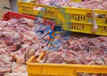 برج بوعريريج/ حجز 280كغ من اللحوم البيضاء و الأحشاء غير صالحة للاستهلاك