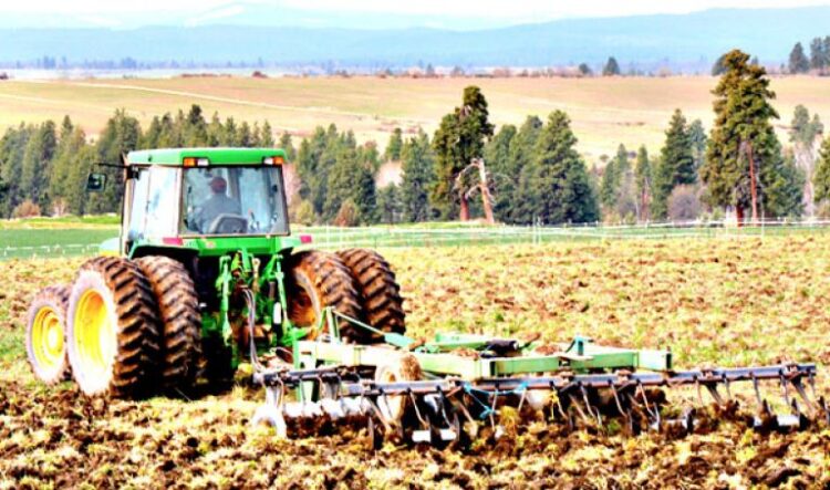 عين الدفلى  /  لقاءات تحضيرية مكثفة استعدادا لموسم الحرث والبذر