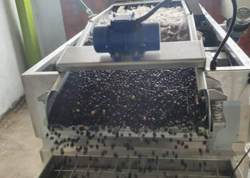 معصرة الزيت الأصيل ببلدية العش ببرج بوعريريج تنتج أنقى زيوت الزيتون وأجود الأنواع