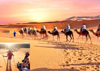 وكالات تستنجد لإنقاذ موسم السياحة الصحراوية