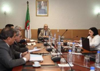 منجي يدعو لتكثيف نشاط الأسطول البحري وتوسيع رقعته إلى أقصى الحدود