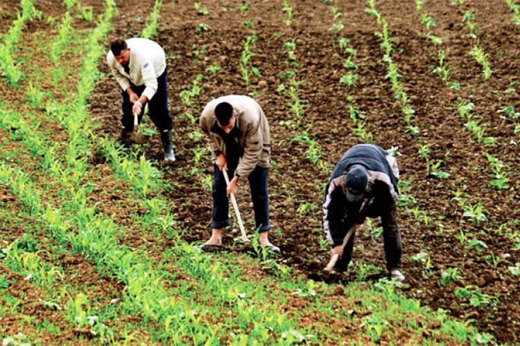 التوقيع على اتفاقية بين قطاعي الفلاحة والمؤسسات المصغرة لصالح حاملي المشاريع