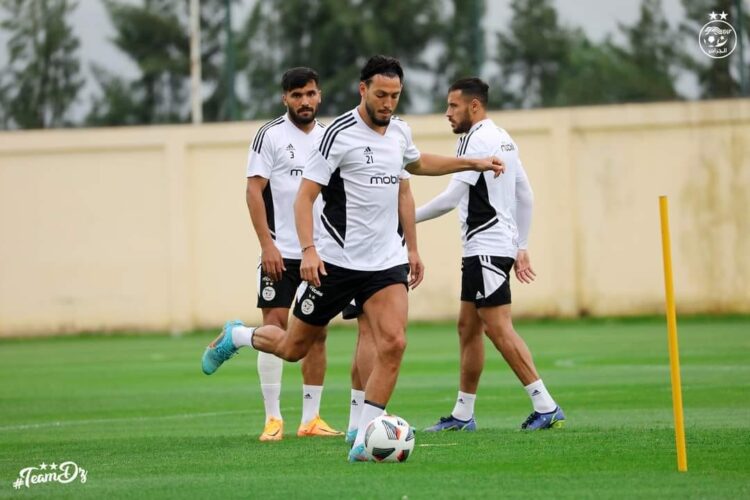 عودة أشبال بلماضي في أول محاولة للنهوض مجددا